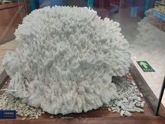 -多彩贵州城极地海洋世界