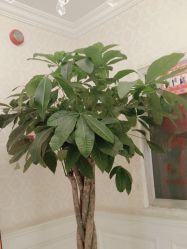 -昆明梦想医疗美容医院