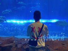 -华夏文旅海洋公园