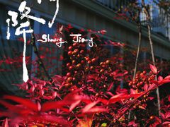 -花·fleur古董西餐厅(西城夜未央店)