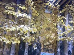 -泰合玺·精油疗愈SPA(南京光环花园城店)