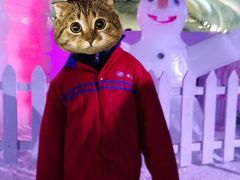 -世界之窗阿尔卑斯冰雪世界