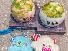 -吴山山·椰子酸奶(天河南店)