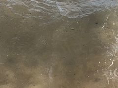 -碧桂园十里银滩