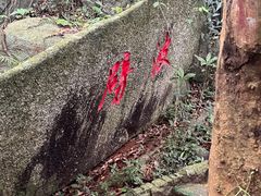 -海南铜鼓岭景区