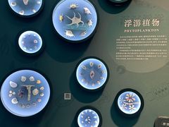 -中国湿地博物馆