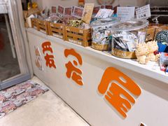 -爱宠屋pet shop·宠物洗澡·宠物美容