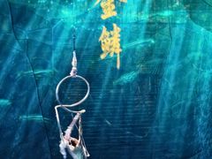 -重庆国际马戏城