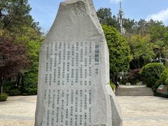 -铁山坪森林公园