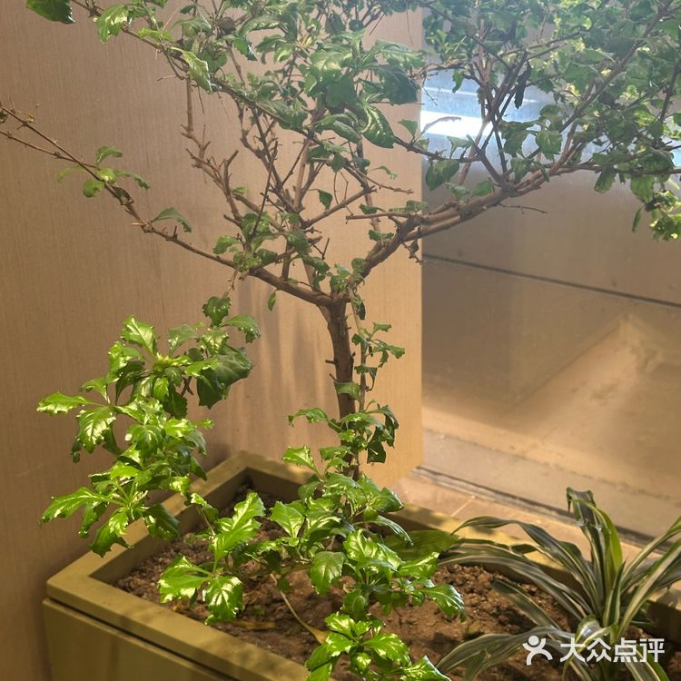 心情好的美食角落-文安-初摊[爱心]