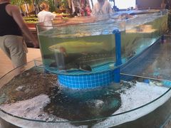 -蓝珊甄选海鲜自助·火锅大排档(近阿那亚店)