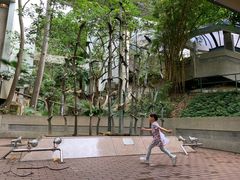 -香港大学