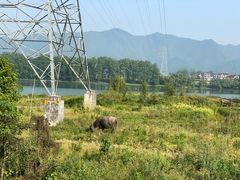 -东梓关景区村庄