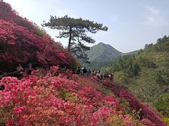 -木兰云雾山