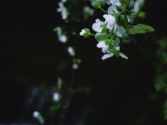 -中国茶叶博物馆(双峰馆区)