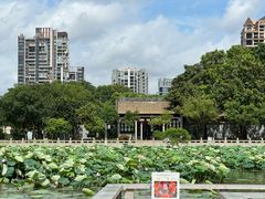 -顺峰山公园