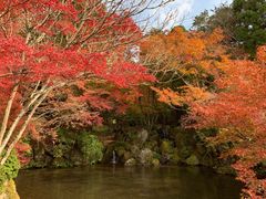 -醍醐寺