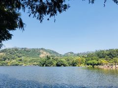 -深圳仙湖植物园
