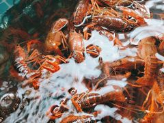 -港畔赶海蒸汽海鲜烧烤自助(仙螺岛店)