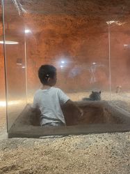 -酷嗒动物文化乐园(cutezoo西溪乐天城店)