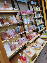 -L'OCCITANE欧舒丹