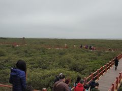 -北海金海湾红树林生态旅游区