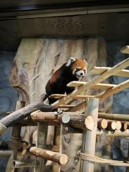 -Zoolung Zoolung动物主题公园(海信广场店)