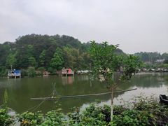-普迪生态园