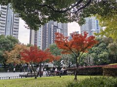 -中山公园