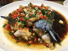 -全乐鱼馆·淳牌有机鱼直营店