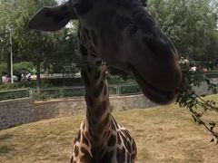 -石家庄市动物园