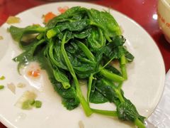 豌豆尖-四川简阳羊肉汤火锅(望花路西里店)