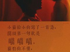 -SFC上影影城(港汇永华IMAX激光店)