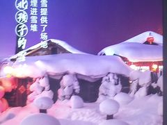 -挂雪铁锅炖大鹅