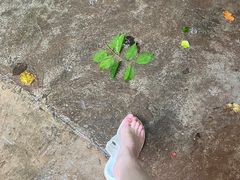 -海南热带野生动植物园