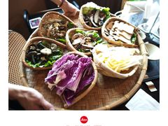 -滇野云南野生菌餐厅(陕西南路店)