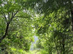 -南岗山公园