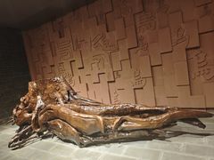 -乐山乌木文化博览苑