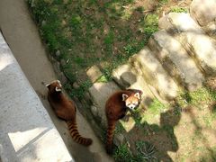 -西安秦岭野生动物园