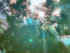 -肥朵食堂(带梦胡同店)