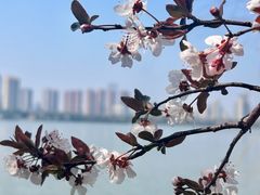 -艾溪湖湿地公园