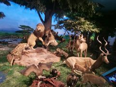 -国家自然博物馆