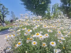 -汉长安城未央宫国家考古遗址公园