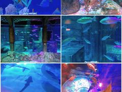 -沈阳海洋探索中心