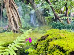 -Chom Cafe and Restaurant