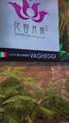 -阅年轻·AI家庭健康体质调理