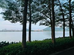 -顺峰山公园