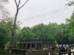 -WeLope紫金山探险公园