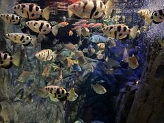 -成都浩海立方海洋公园