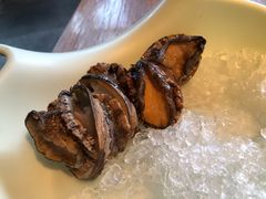 活鲍鱼-Mr·Fish鱼鲜生海鲜放题(银泰in99店)